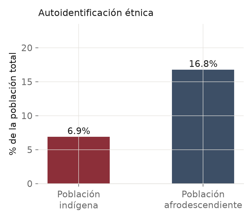 Gráfico: Autoidentificación étnica sobre la población total en David Sur.