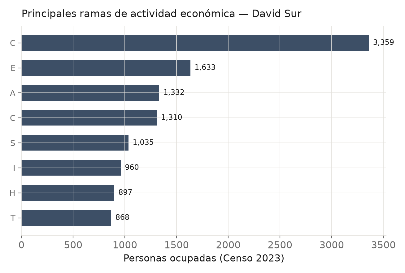Gráfico: Principales ramas de actividad económica en David Sur.